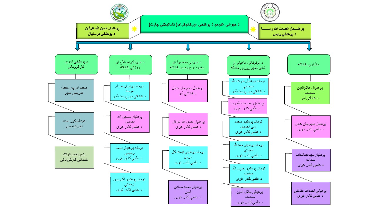 تشکیلاتي چارټ