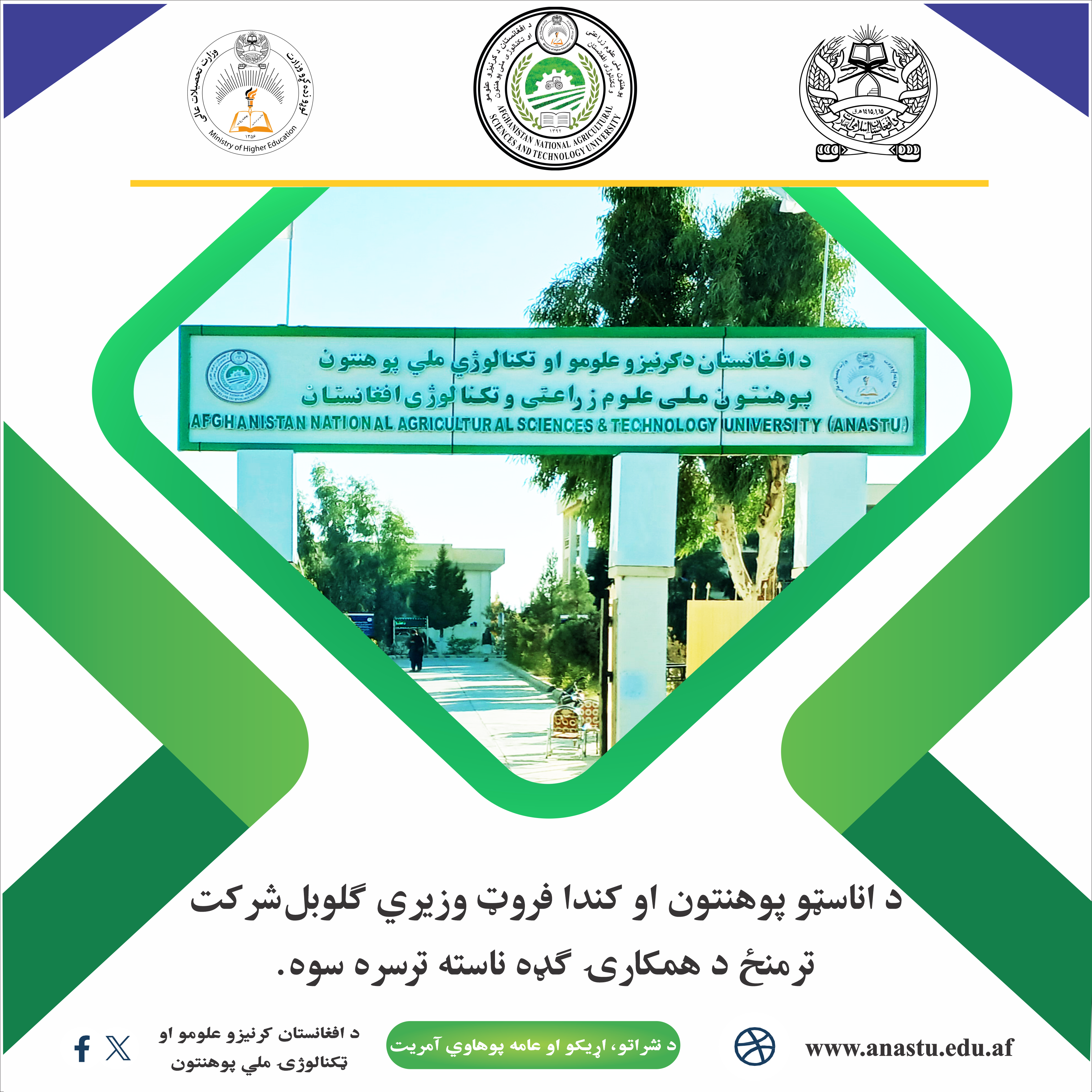 کنډا فروټ