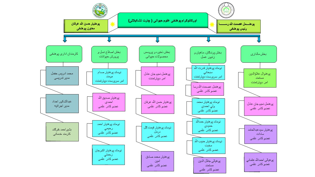 تشکیلاتي چارټ دري