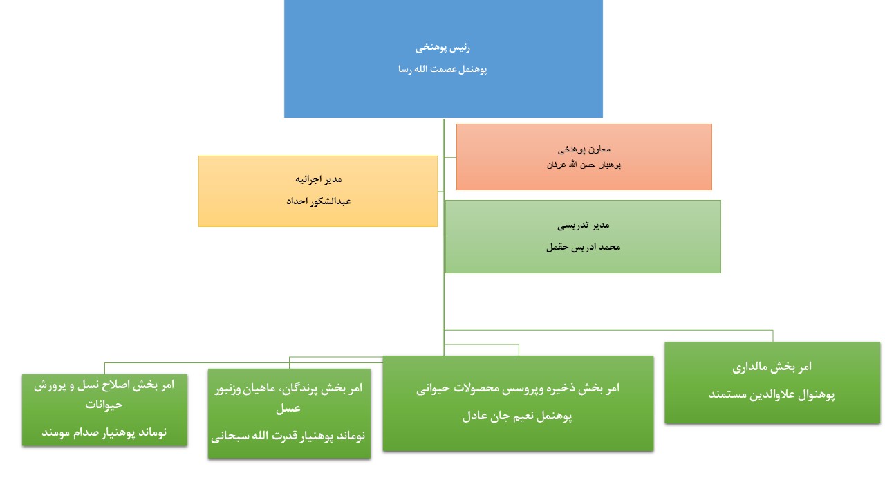 تشکیلاتي چارټ دري